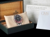 Rolex GMT-Master II Pepsi SEL  Watch  16710